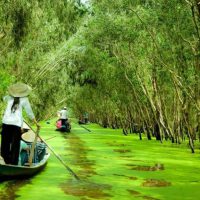 Halong Bay Full Day on Luxury Alova Cruise with Transfer and Lunch2